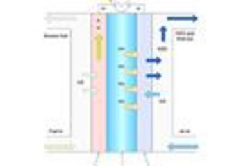 Nevron Diagram for .NET预览：
